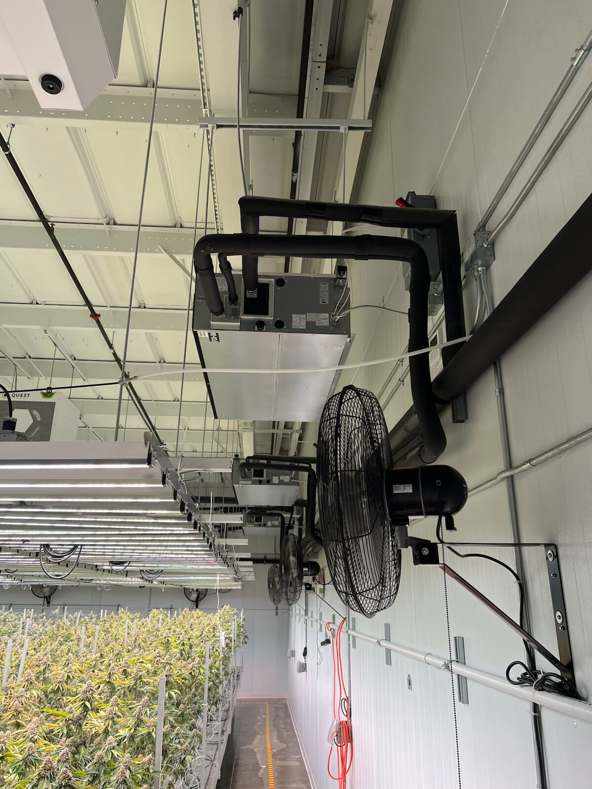 Indoor Cannabis HVAC 5
