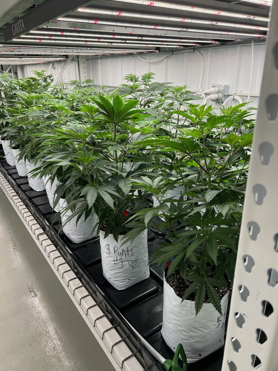 Understanding indoor grow air conditioning